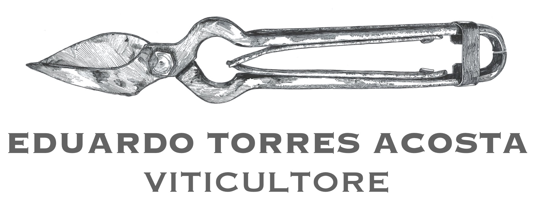 Eduardo Torres Acosta